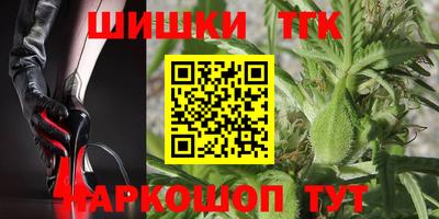 стаф Камышлов