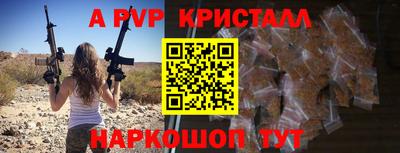стаф Камышлов