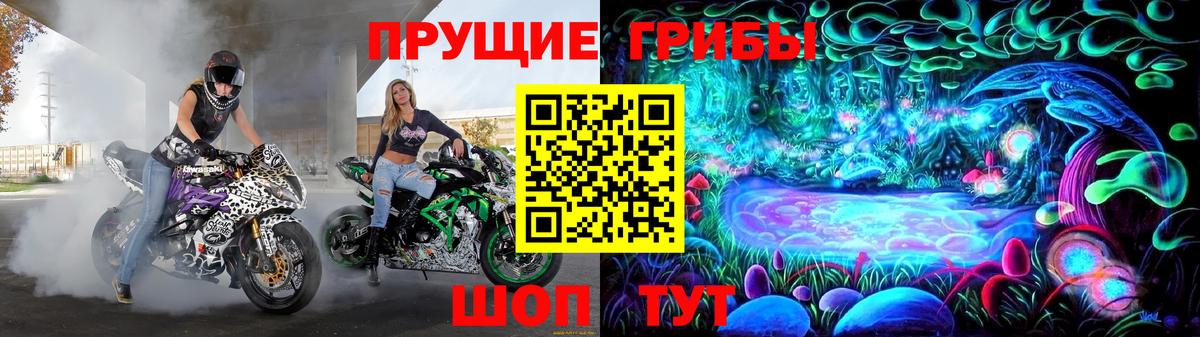 Электросталь  Галлюциногенные грибы Psilocybine cubensis  Вход с VPN 